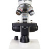 Микроскоп LEVENHUK DISCOVERY FEMTO POLAR с книгой 77983